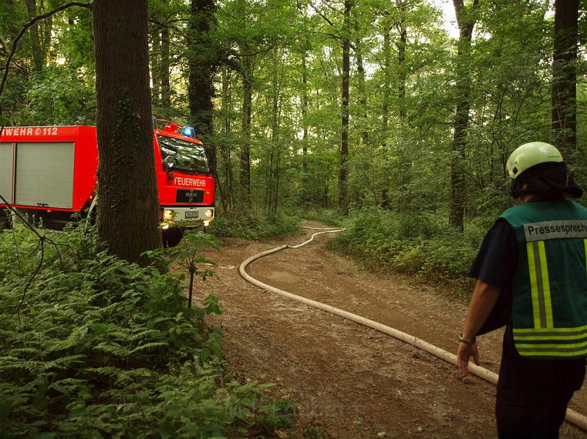 Waldbrand Bergisch Gladbach Bensberg P188.JPG